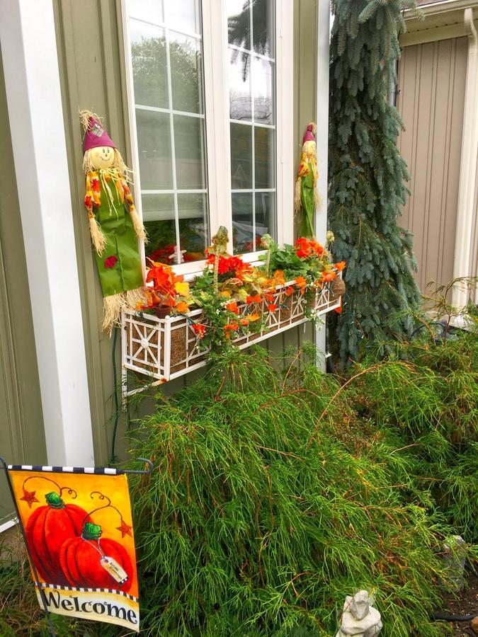 פורט ארי Yellow Door Bed And Breakfast מראה חיצוני תמונה